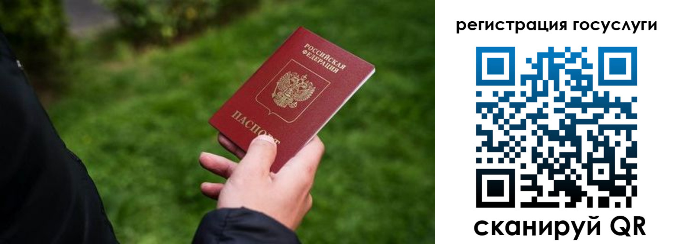 прописка в Губкине